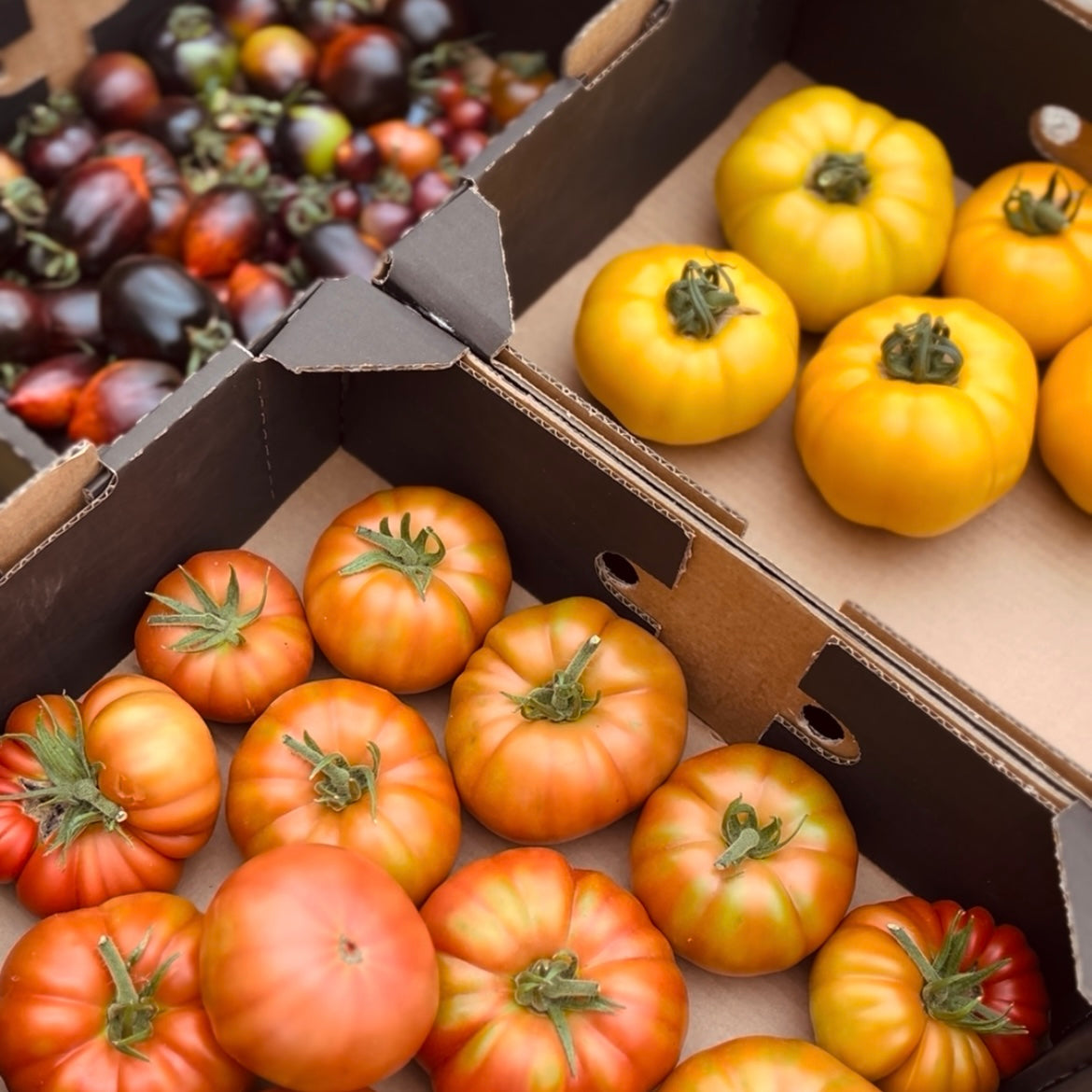 Summer Harvest Walk