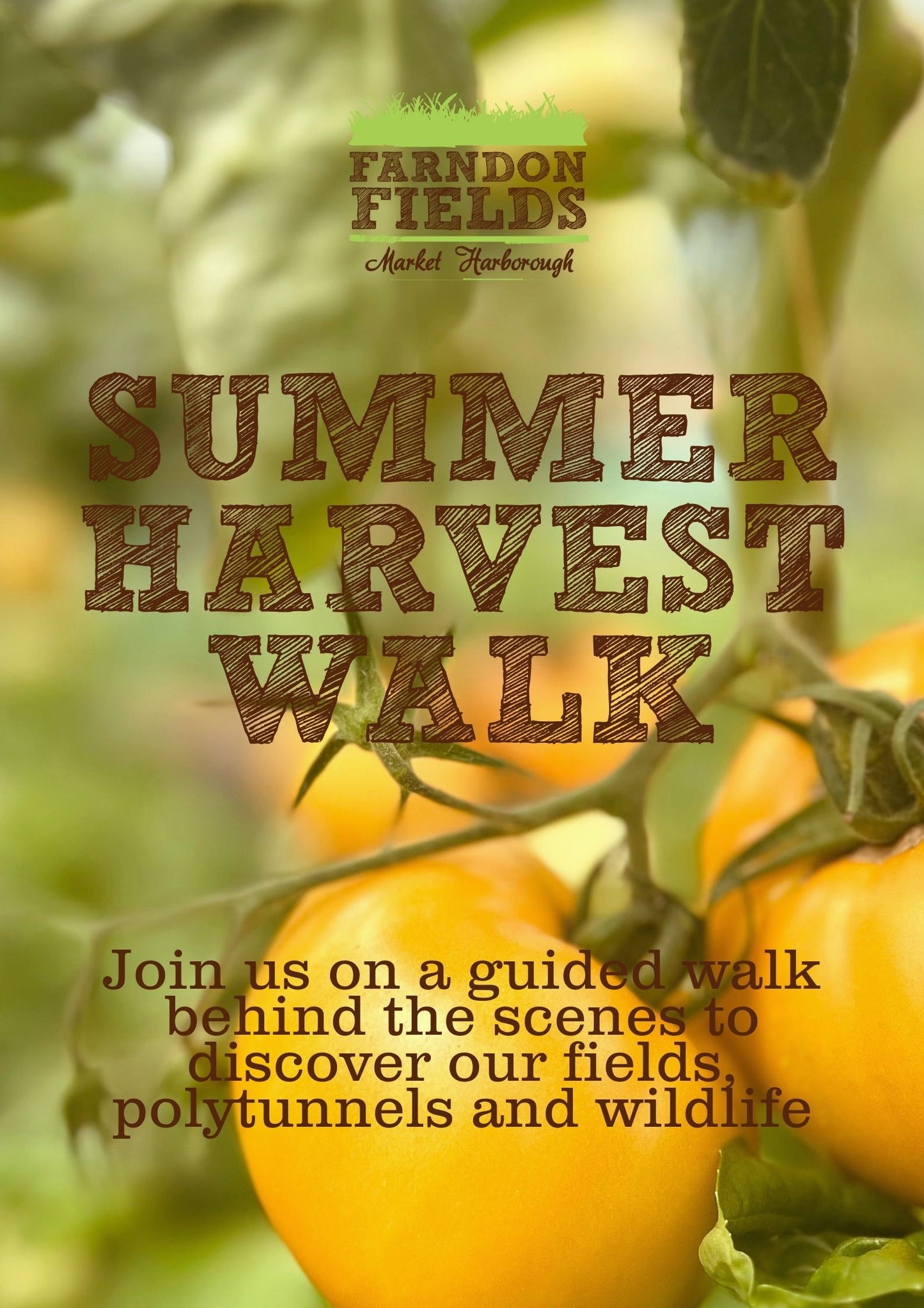Summer Harvest Walk