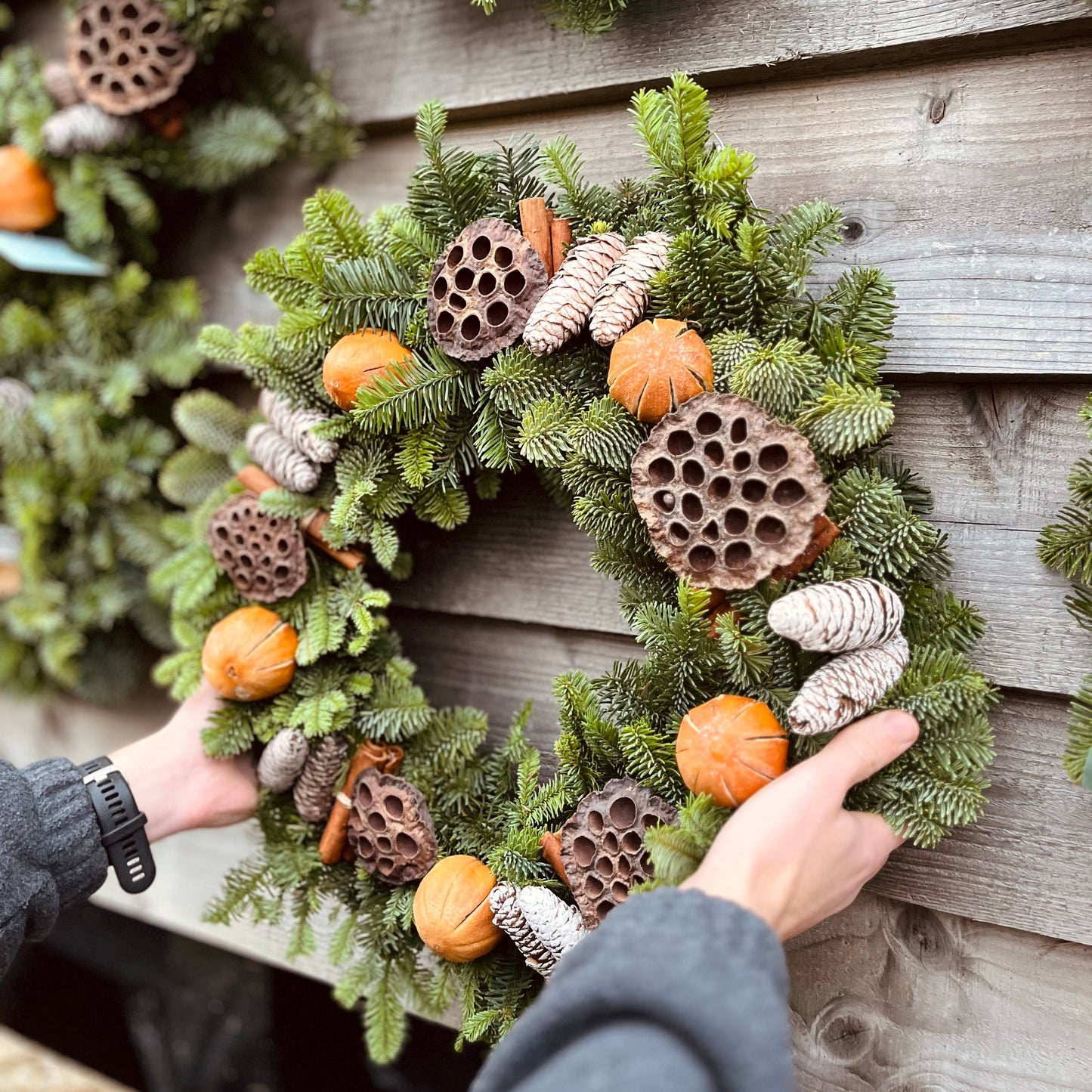 Pick Your Own Christmas Tree