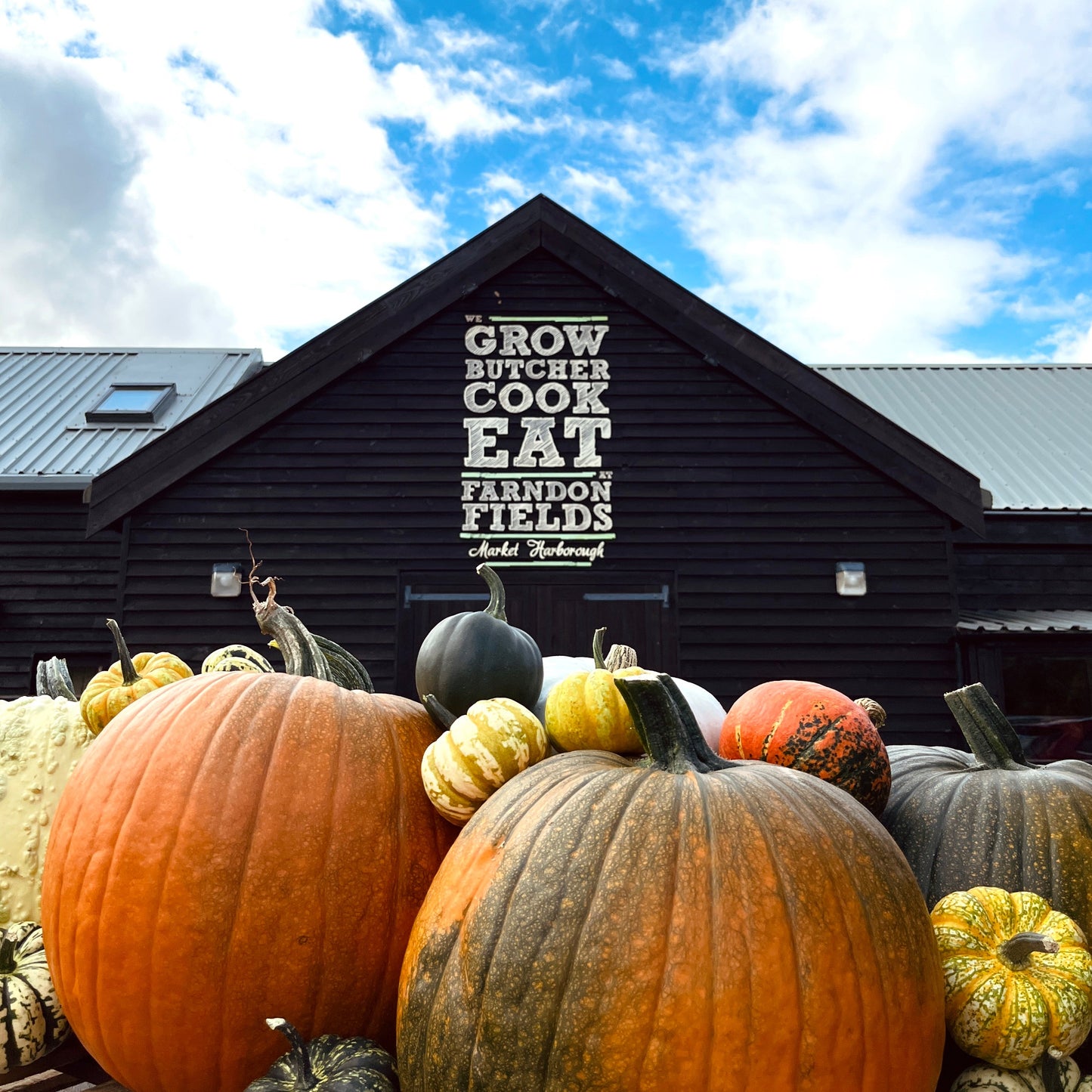 The Pumpkin Festival