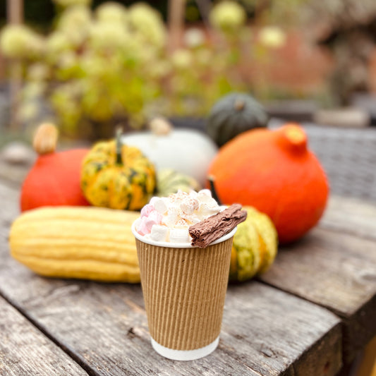 The Pumpkin Festival